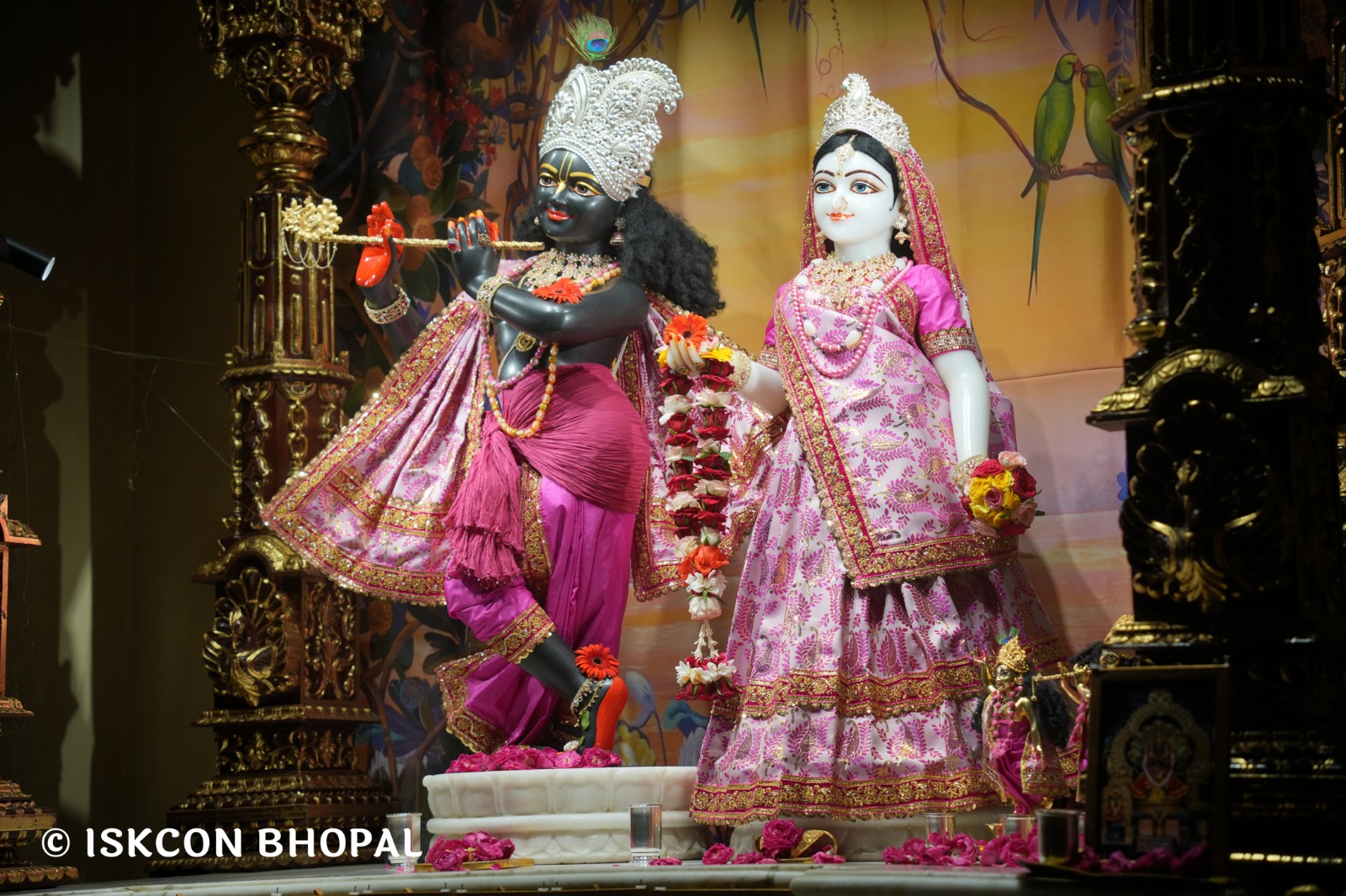 WhatsApp Image 2026-04-24 at 07.53.41