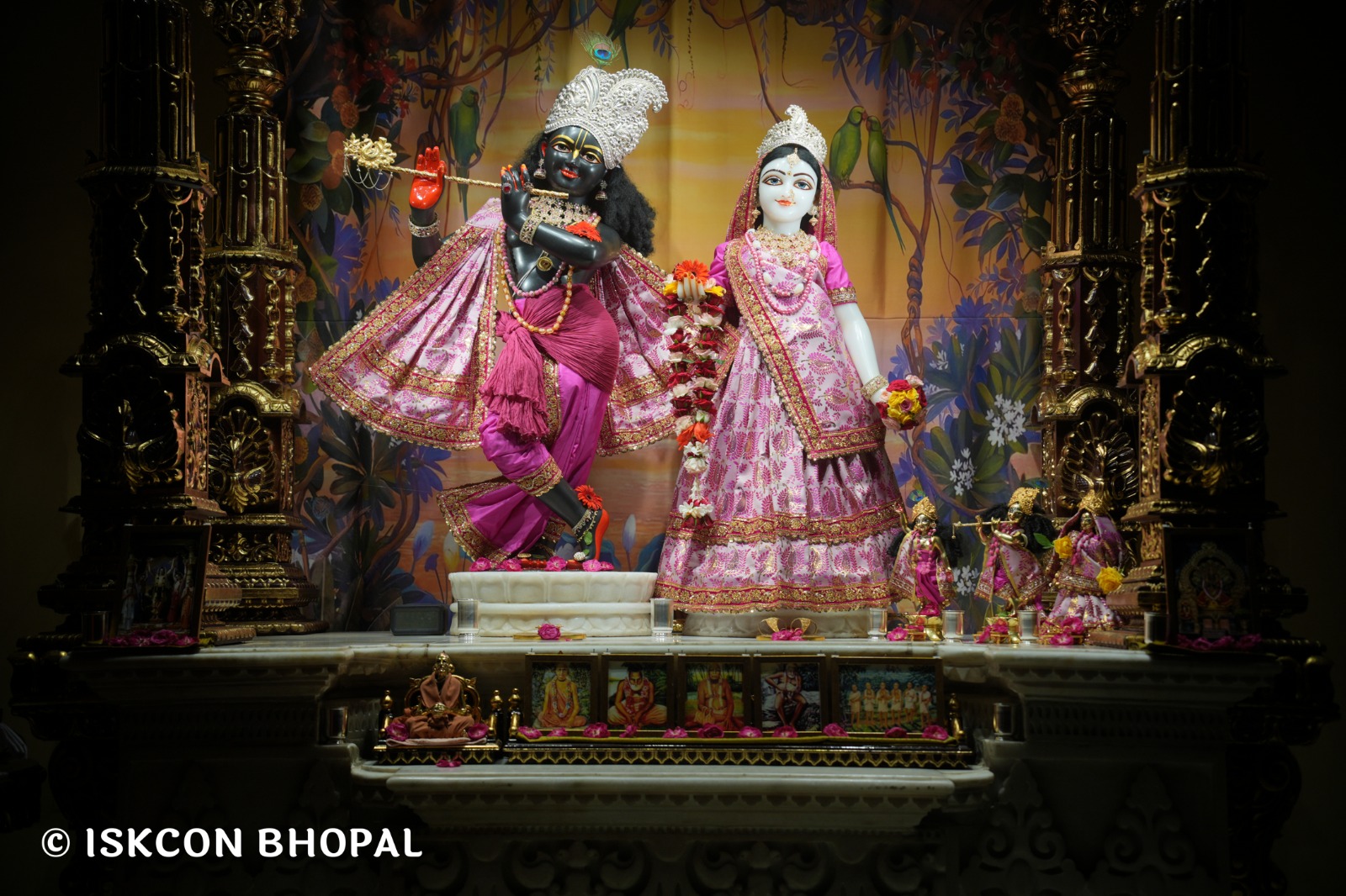 WhatsApp Image 2026-04-24 at 07.53.43