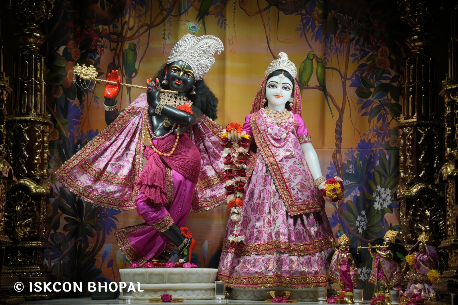 WhatsApp Image 2026-04-24 at 07.53.48