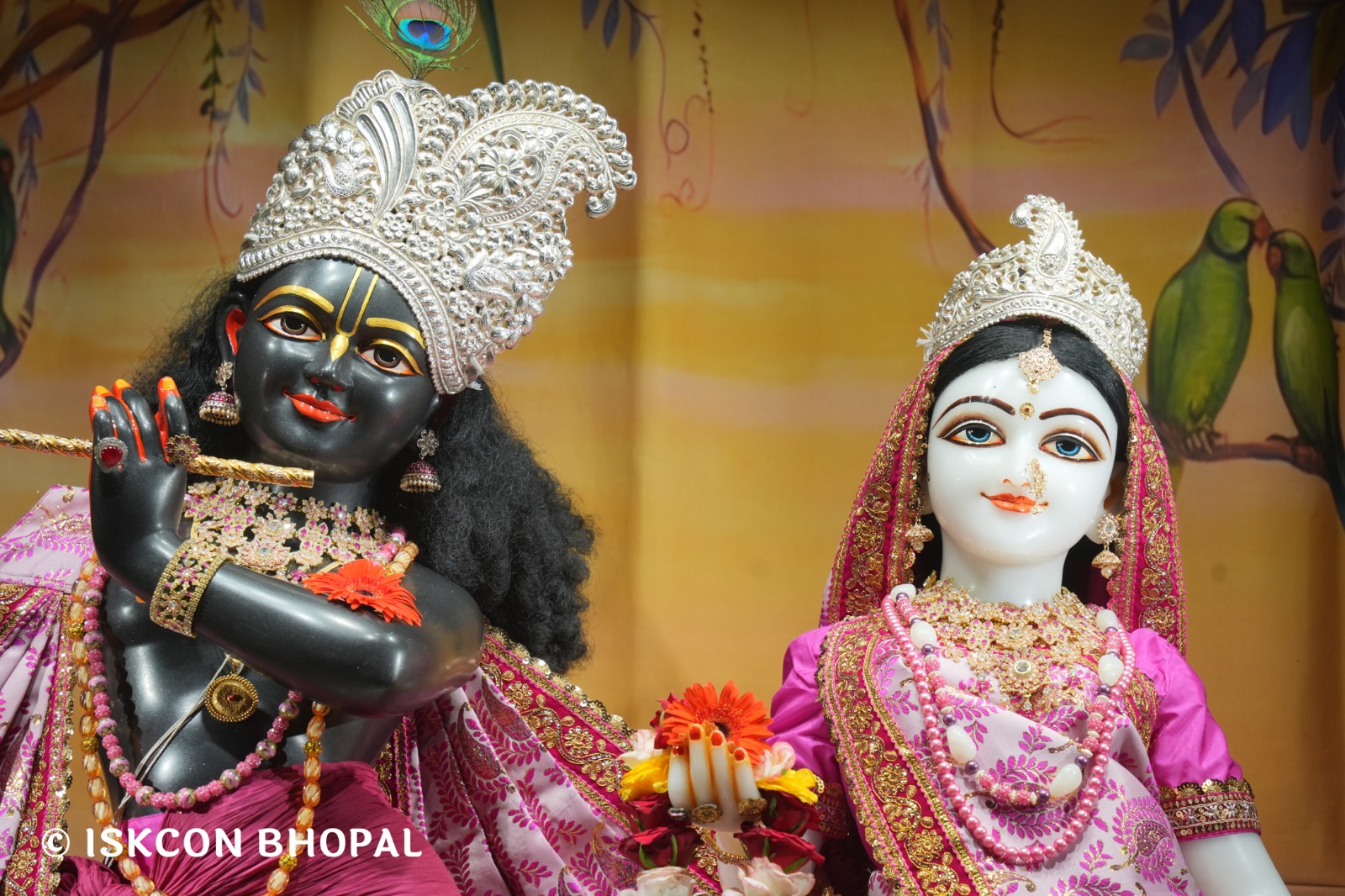 WhatsApp Image 2026-04-24 at 07.53.51