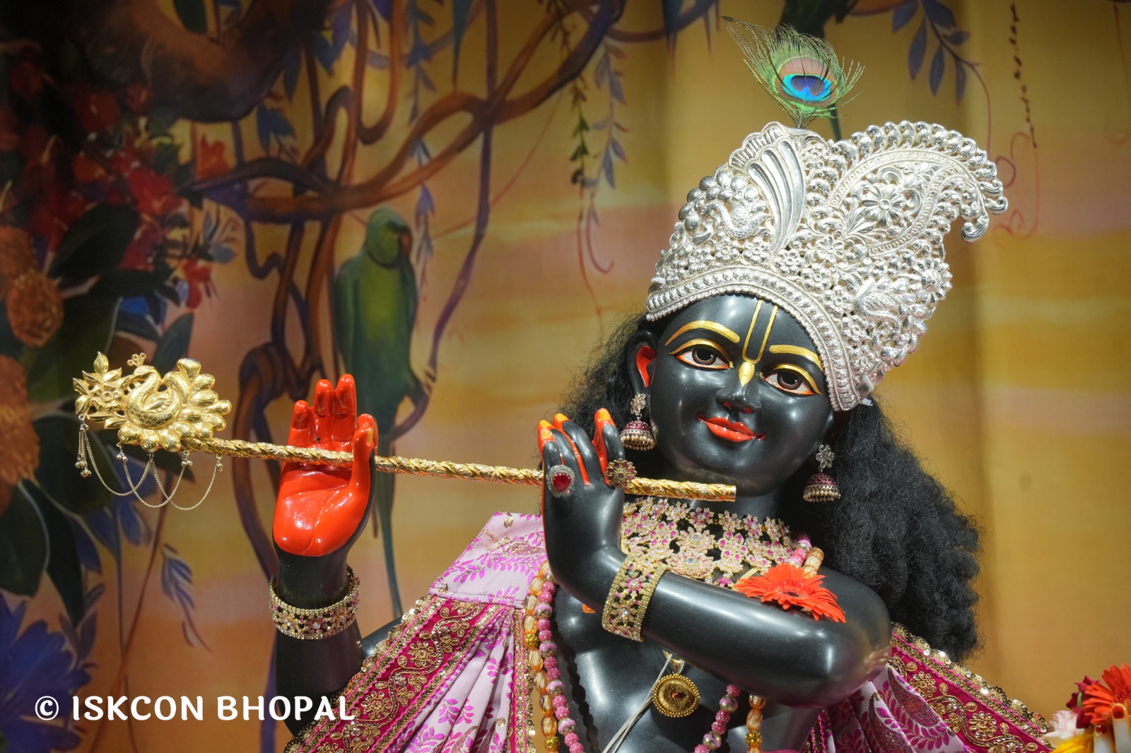 WhatsApp Image 2026-04-24 at 07.53.53