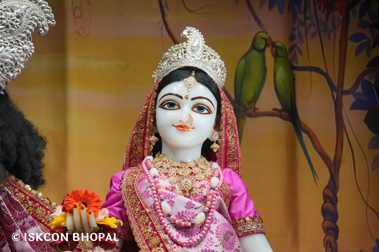 WhatsApp Image 2026-04-24 at 07.53.55