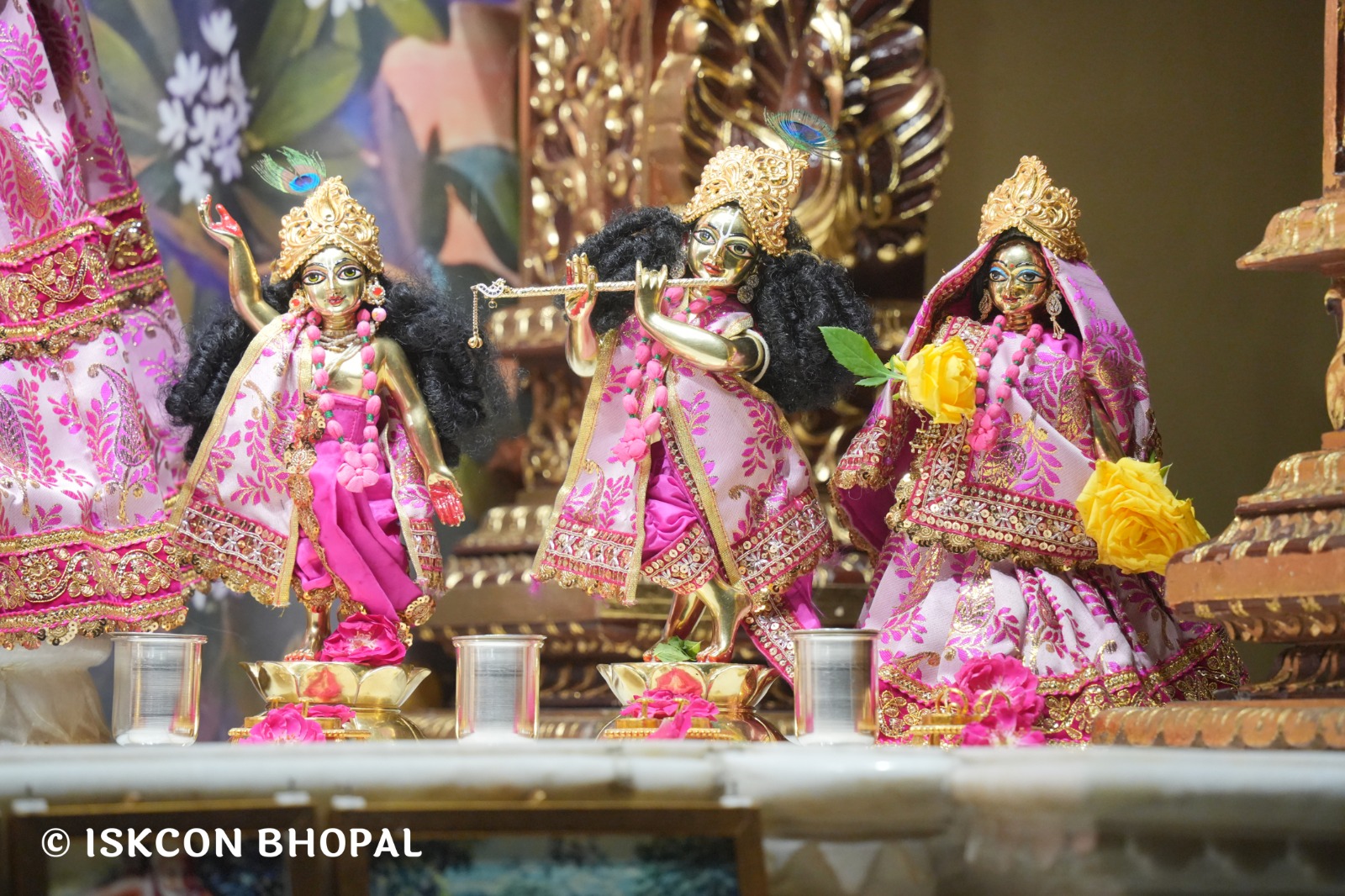 WhatsApp Image 2026-04-24 at 07.53.57