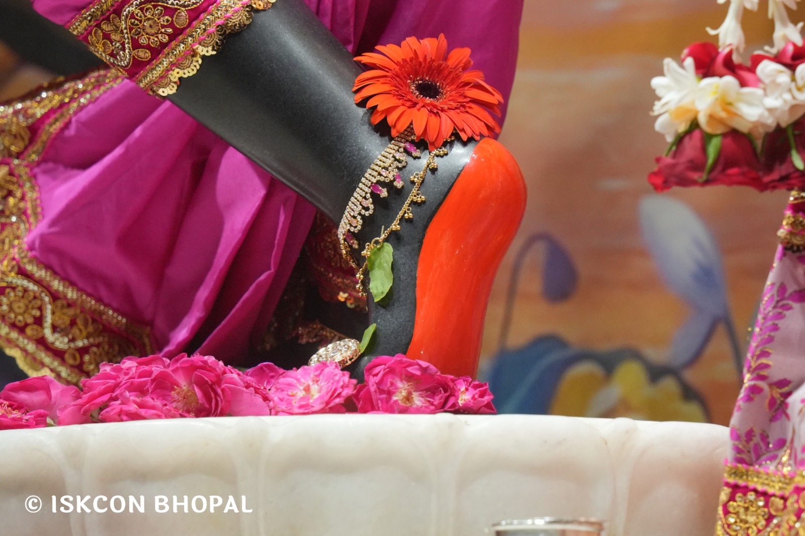 WhatsApp Image 2026-04-24 at 07.54.01