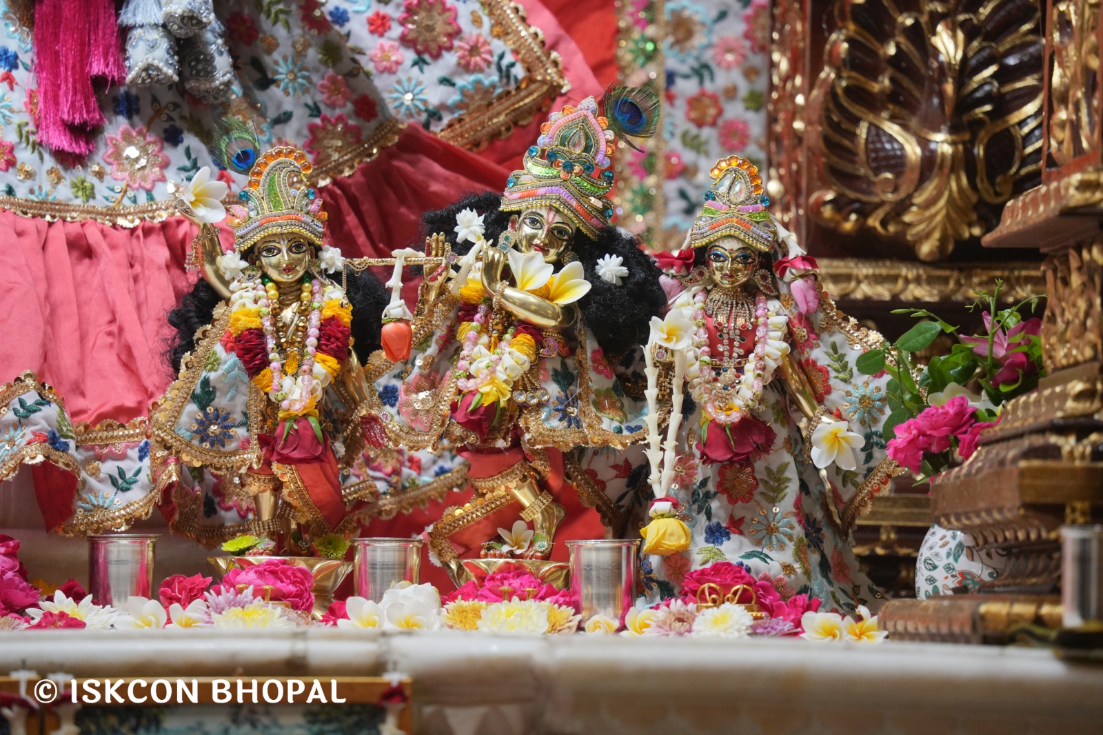 WhatsApp Image 2026-04-24 at 07.56.10