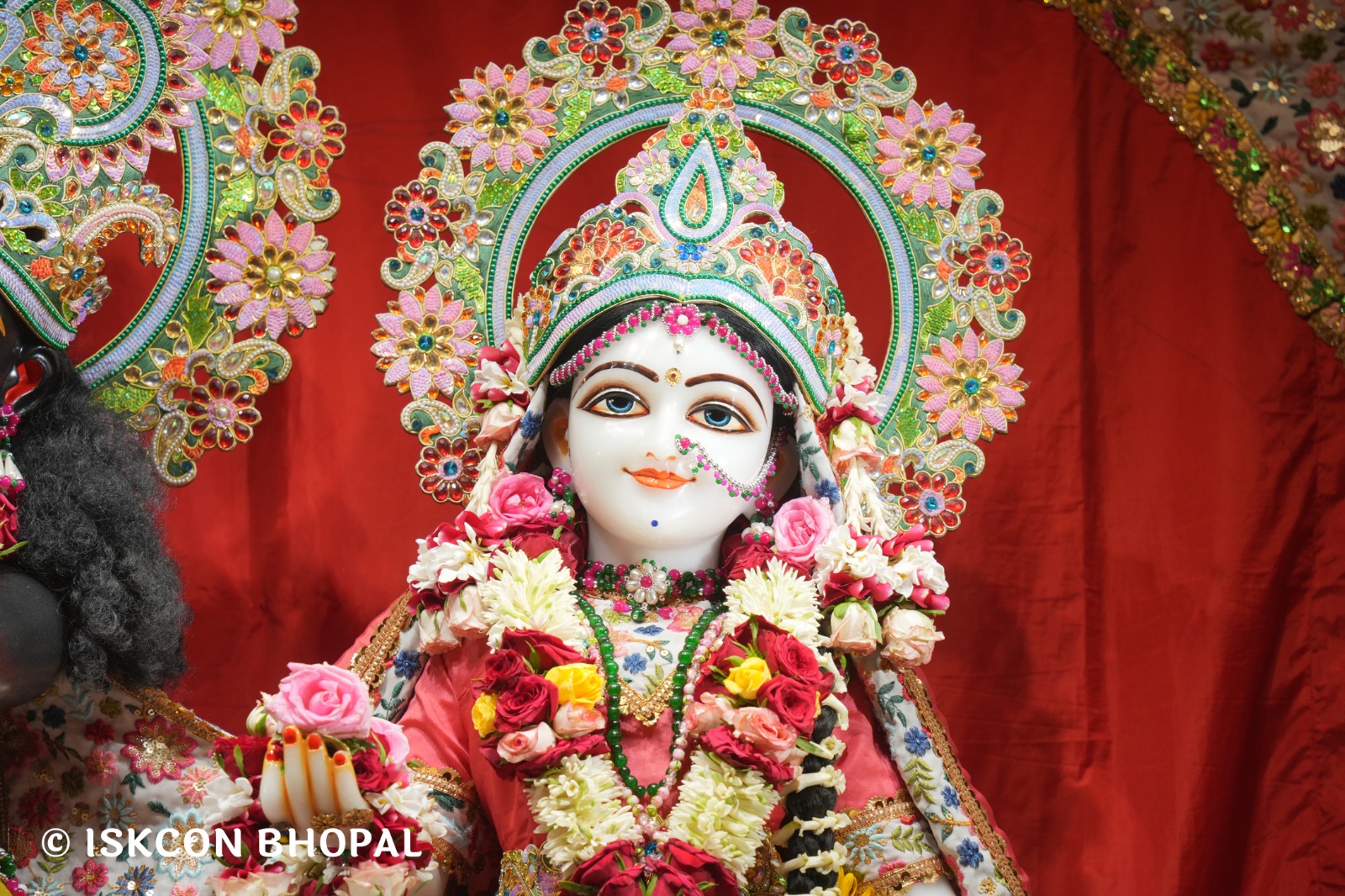 WhatsApp Image 2026-04-24 at 07.56.16