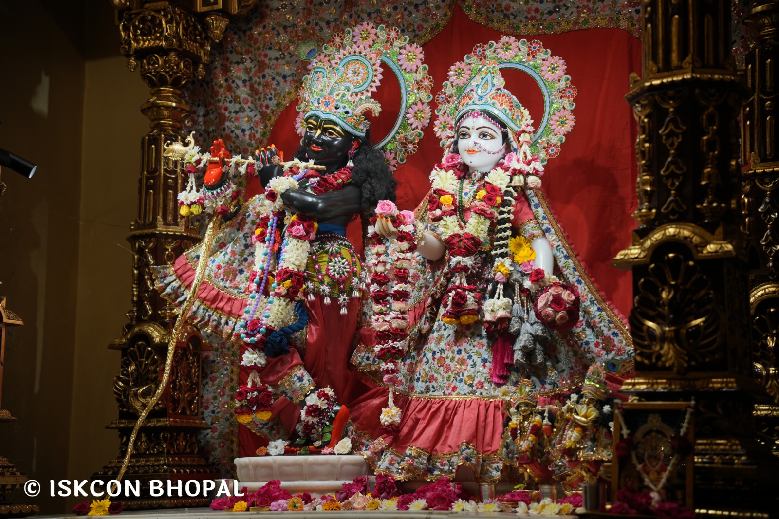 WhatsApp Image 2026-04-24 at 07.56.34