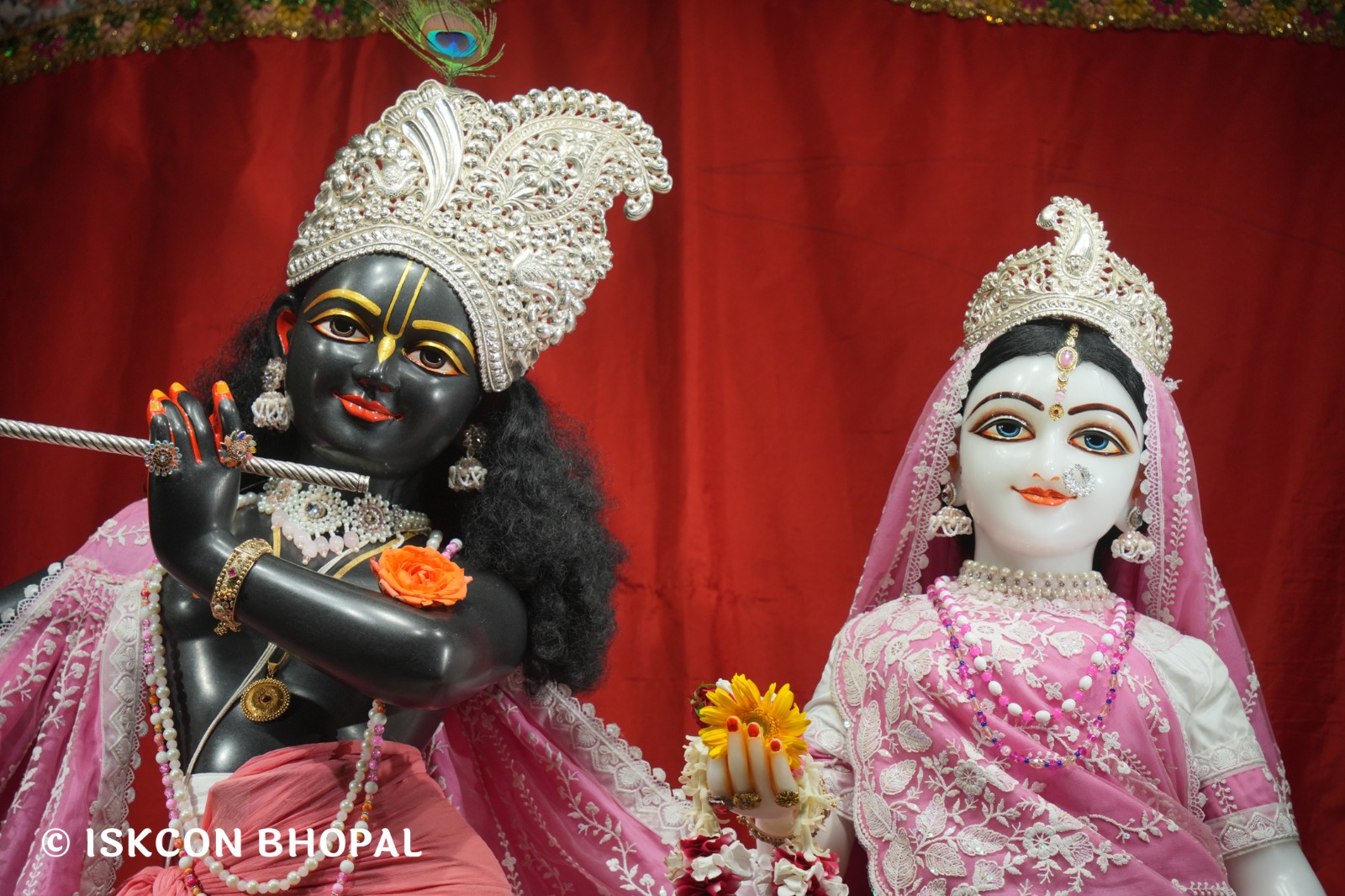 WhatsApp Image 2026-04-25 at 09.50.01