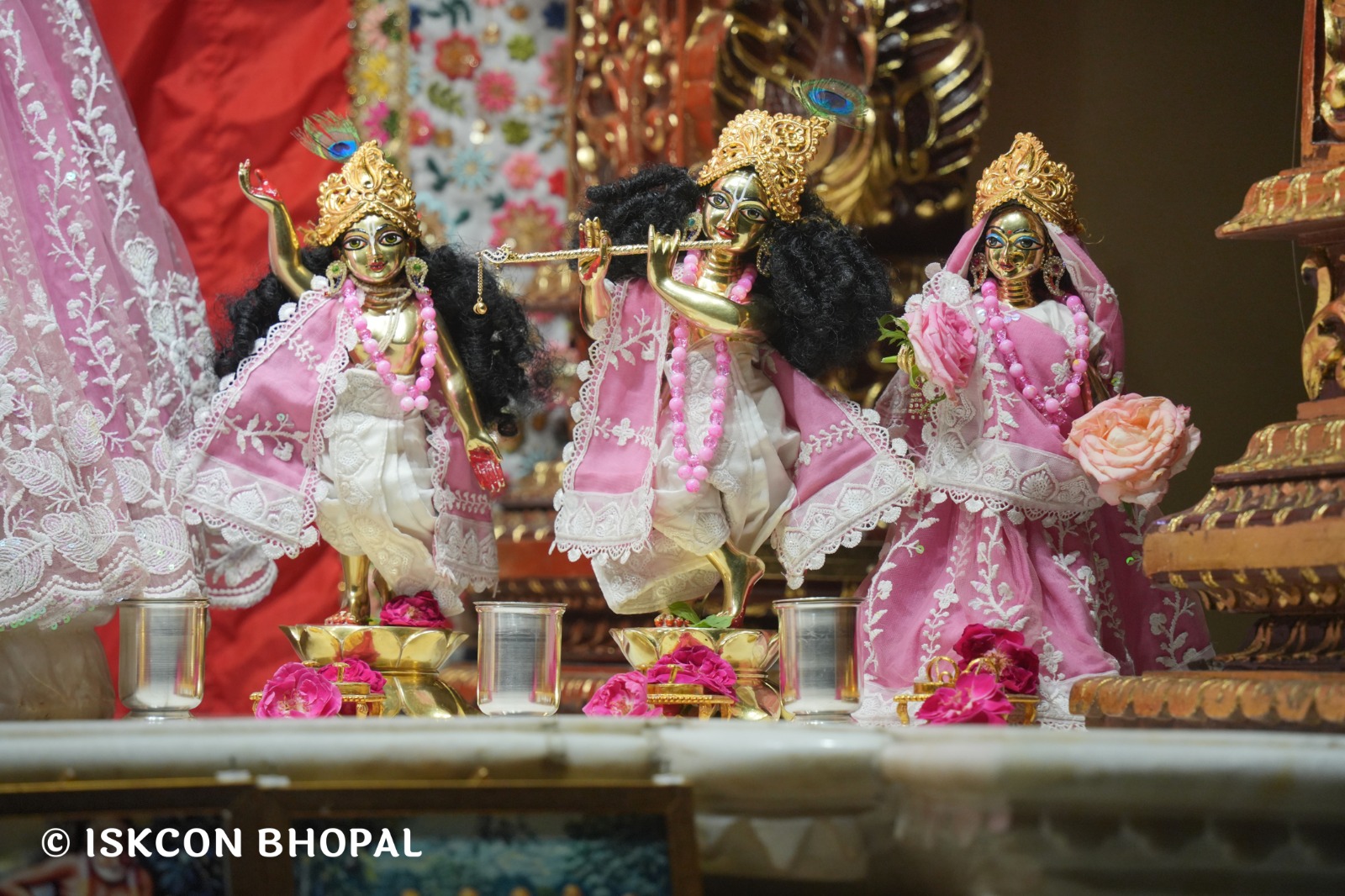 WhatsApp Image 2026-04-25 at 09.50.05