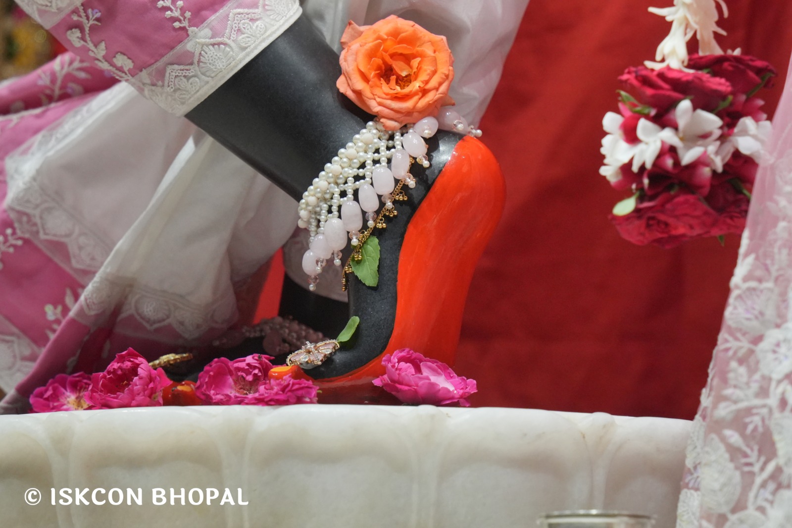 WhatsApp Image 2026-04-25 at 09.50.13