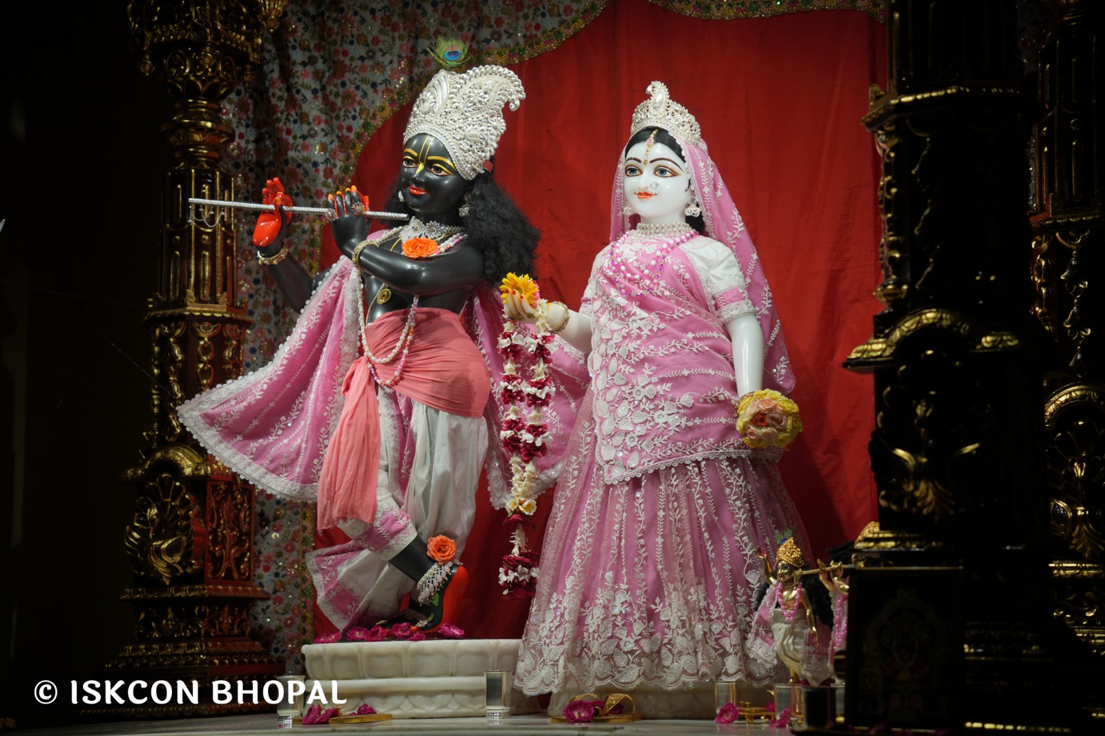 WhatsApp Image 2026-04-25 at 09.50.21