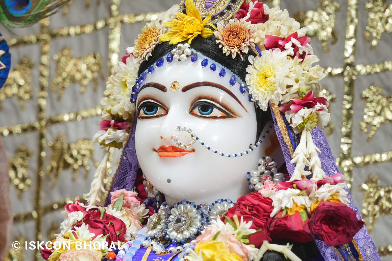 WhatsApp Image 2026-04-25 at 09.51.21