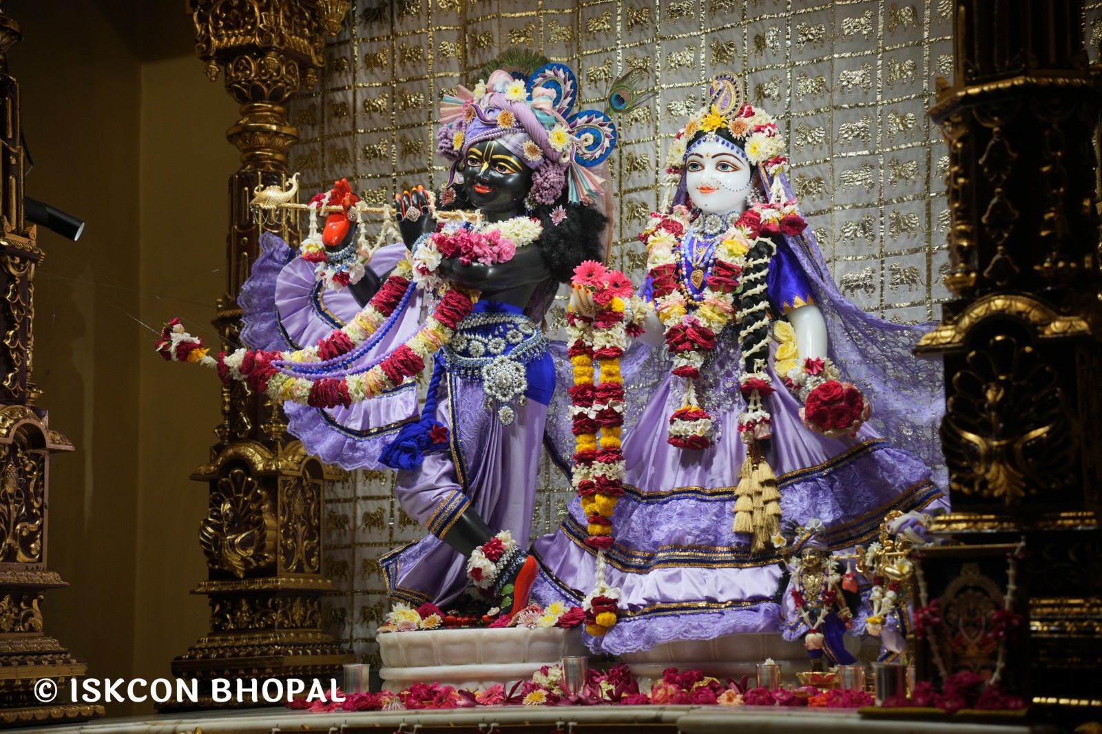 WhatsApp Image 2026-04-25 at 09.51.29