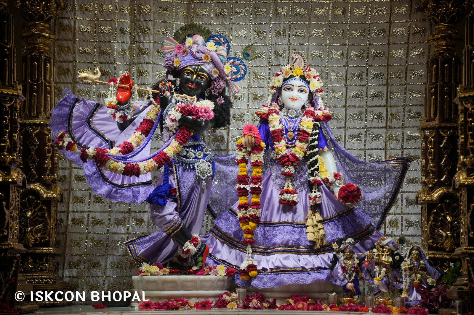 WhatsApp Image 2026-04-25 at 09.51.32