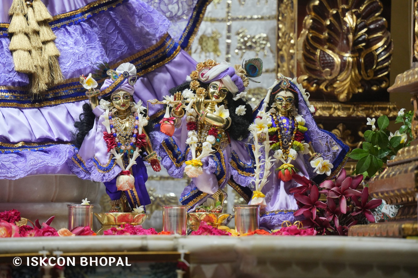 WhatsApp Image 2026-04-25 at 09.51.35