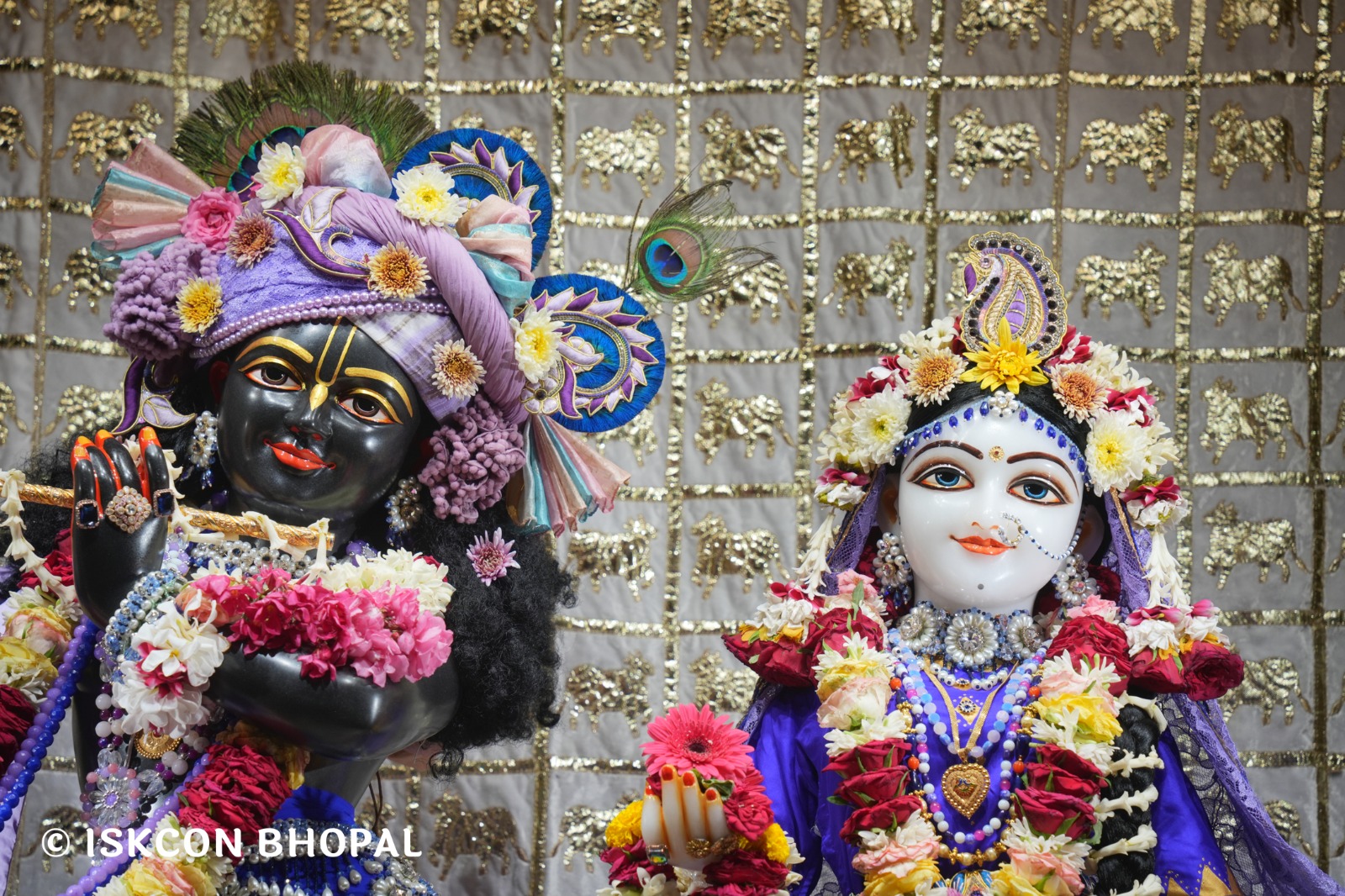 WhatsApp Image 2026-04-25 at 09.51.37