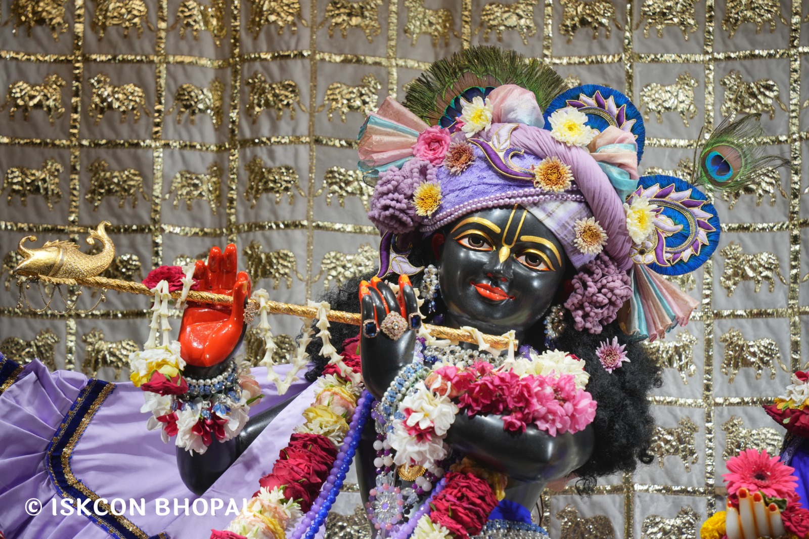 WhatsApp Image 2026-04-25 at 09.51.40