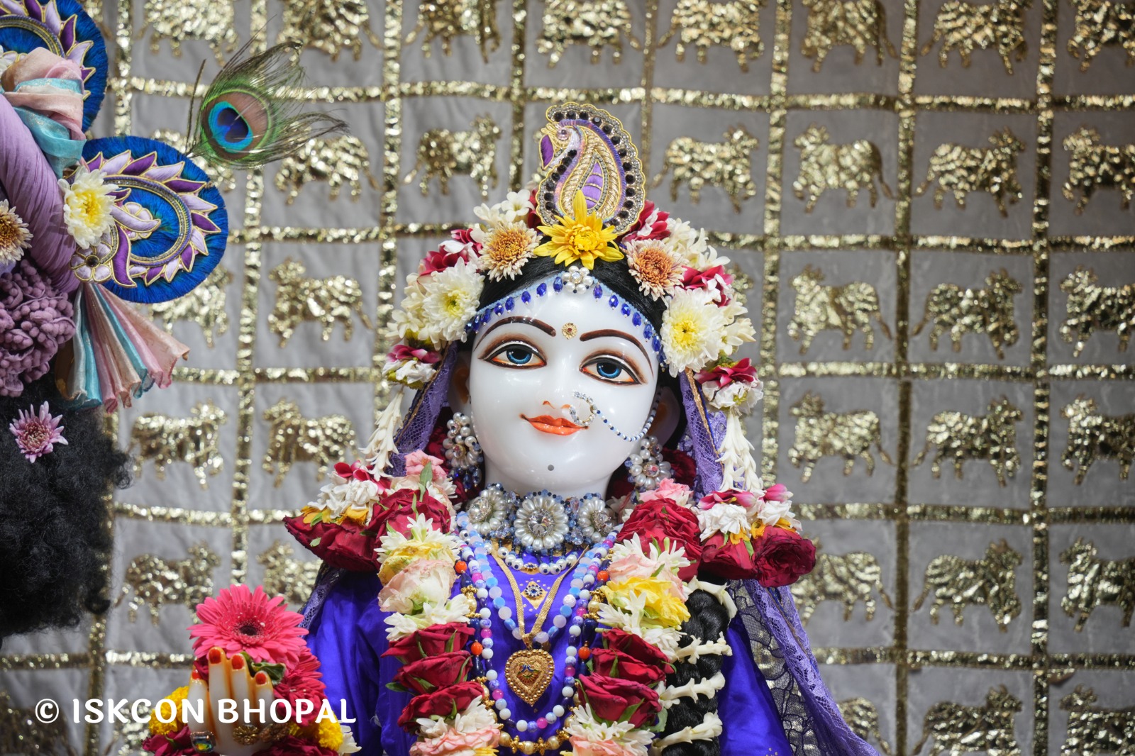 WhatsApp Image 2026-04-25 at 09.51.41