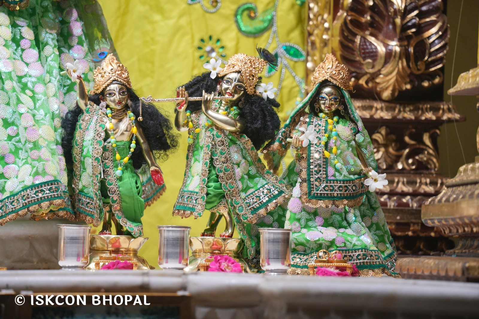 WhatsApp Image 2026-04-27 at 10.24.13