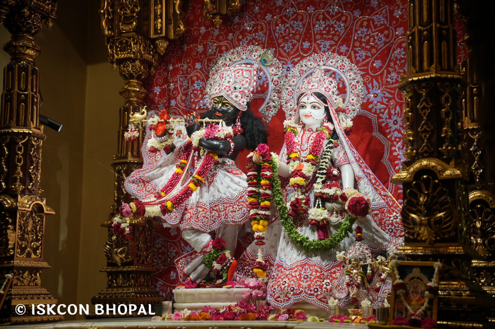 WhatsApp Image 2026-04-27 at 10.25.40