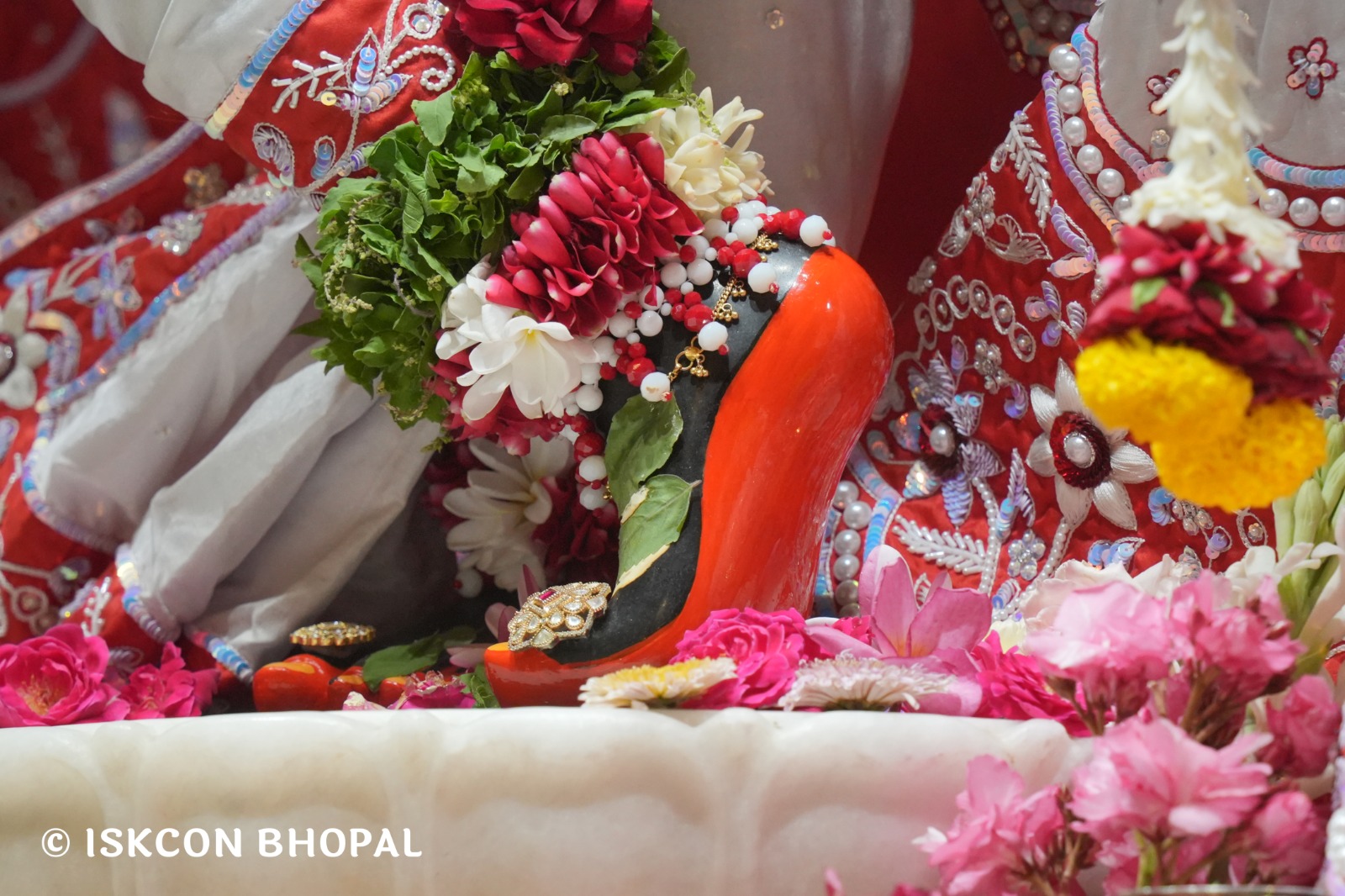 WhatsApp Image 2026-04-27 at 10.25.45