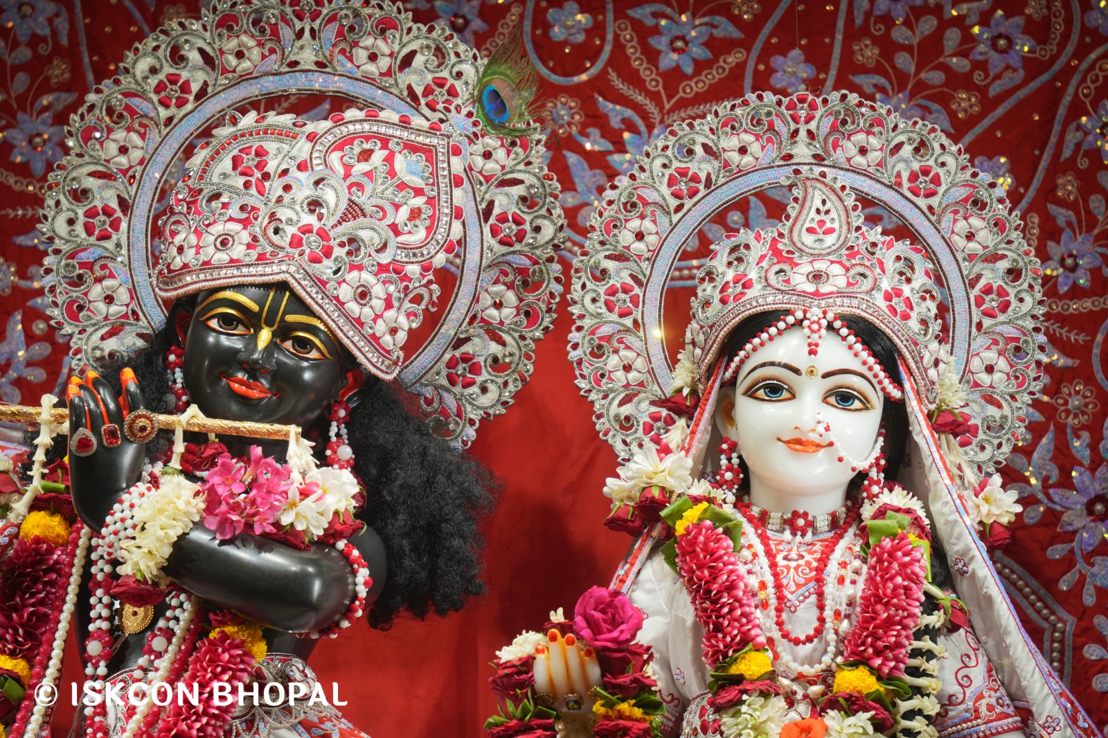 WhatsApp Image 2026-04-27 at 10.25.49