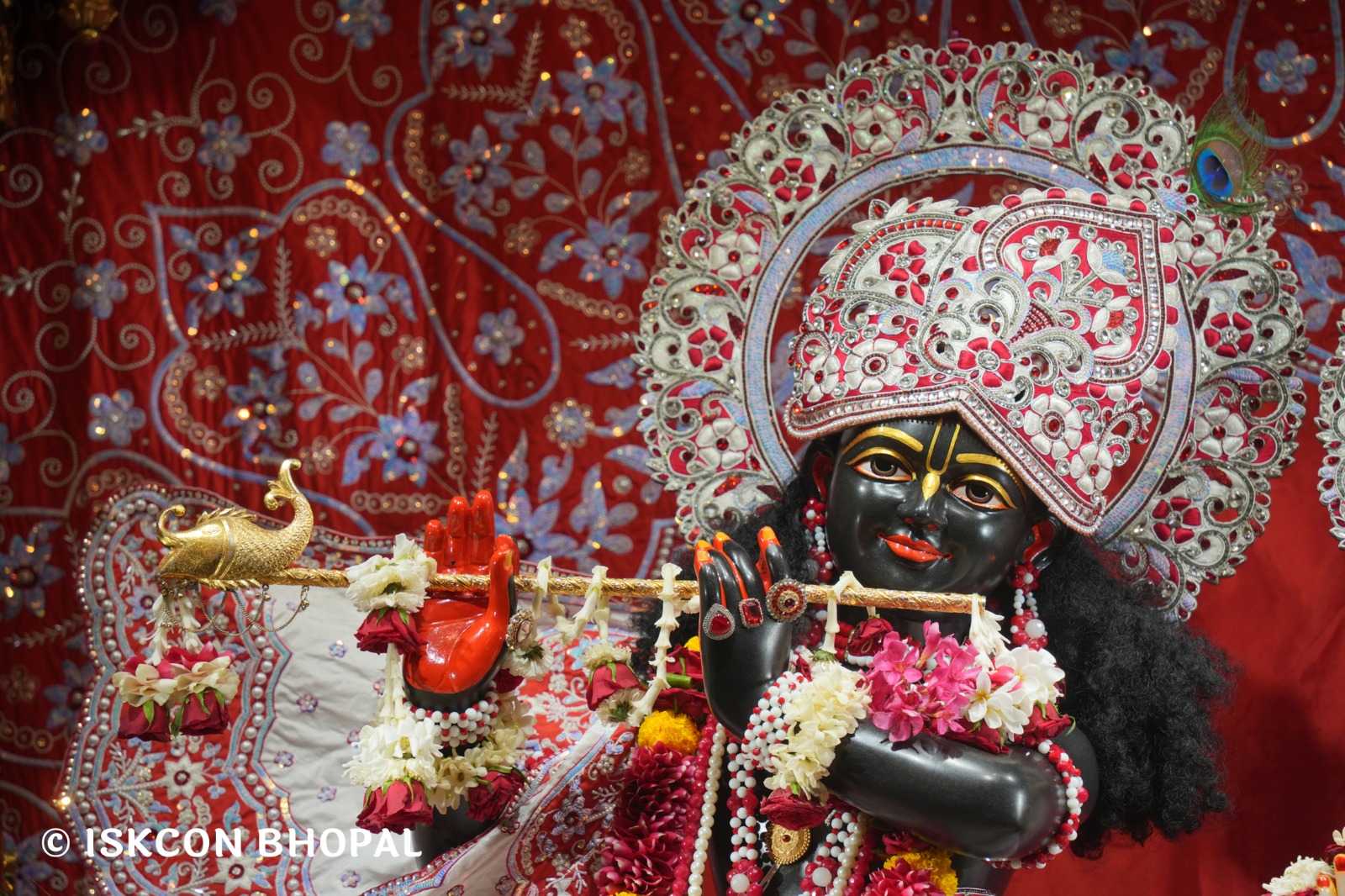 WhatsApp Image 2026-04-27 at 10.25.51