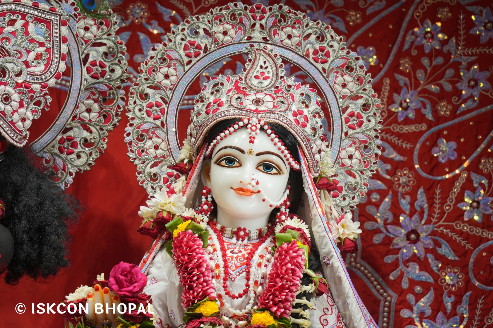 WhatsApp Image 2026-04-27 at 10.25.55