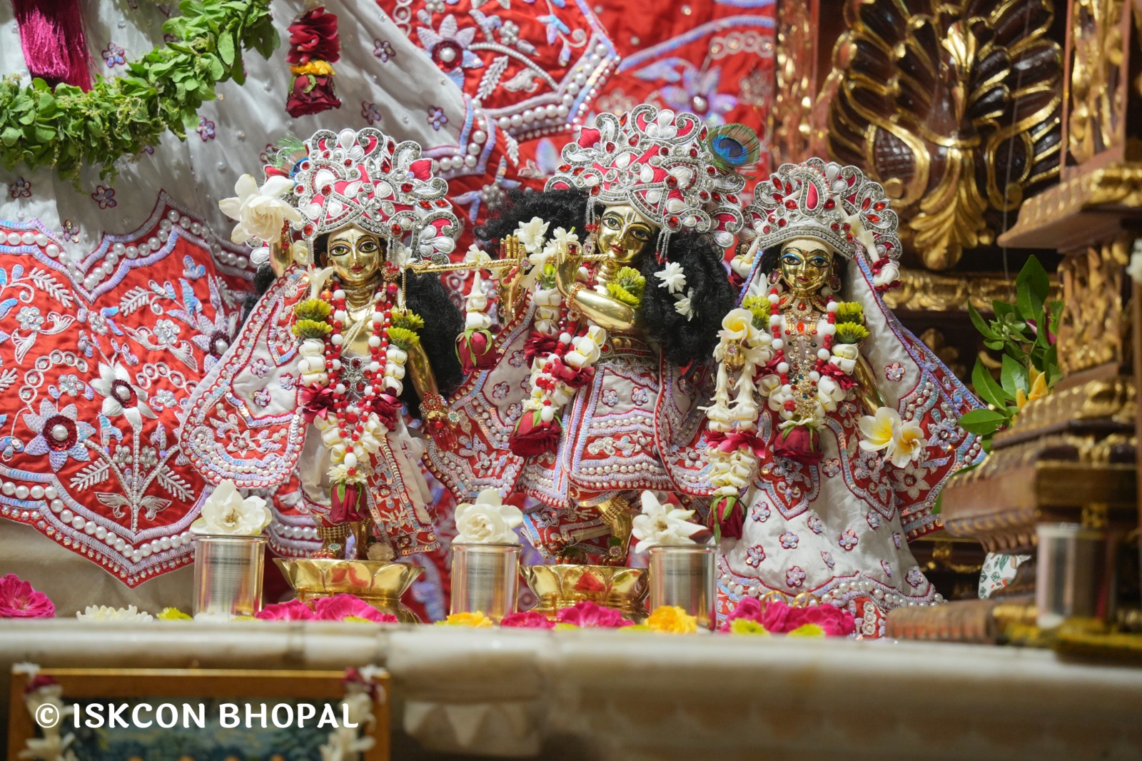 WhatsApp Image 2026-04-27 at 10.26.06