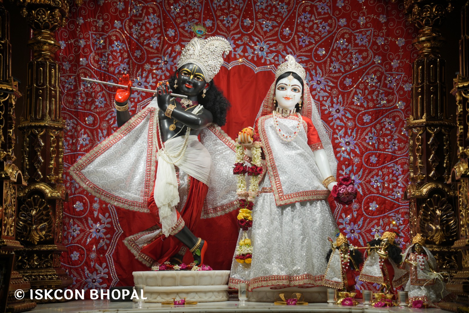 WhatsApp Image 2026-04-28 at 10.02.09