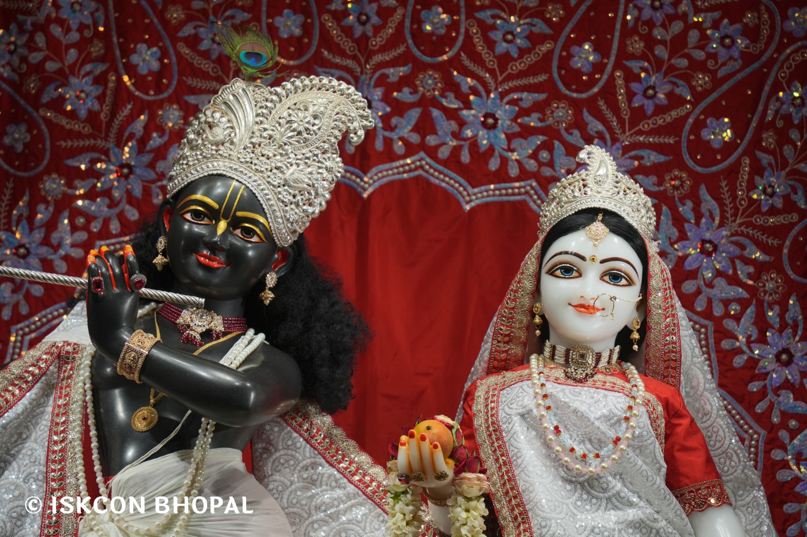 WhatsApp Image 2026-04-28 at 10.02.15