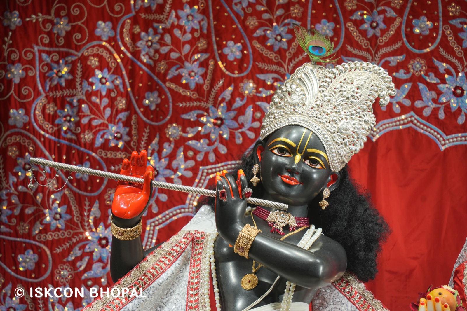 WhatsApp Image 2026-04-28 at 10.02.18