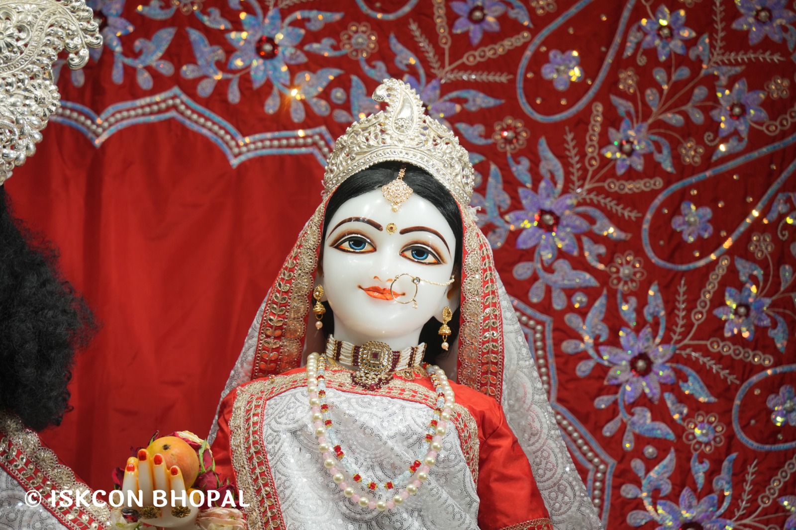 WhatsApp Image 2026-04-28 at 10.02.20