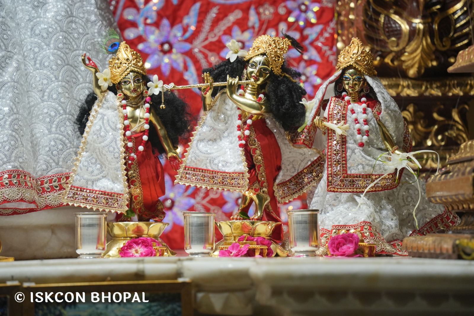 WhatsApp Image 2026-04-28 at 10.02.21