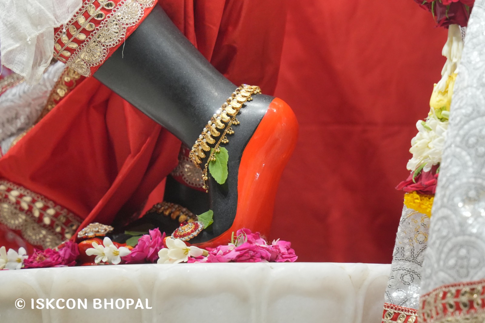 WhatsApp Image 2026-04-28 at 10.02.25