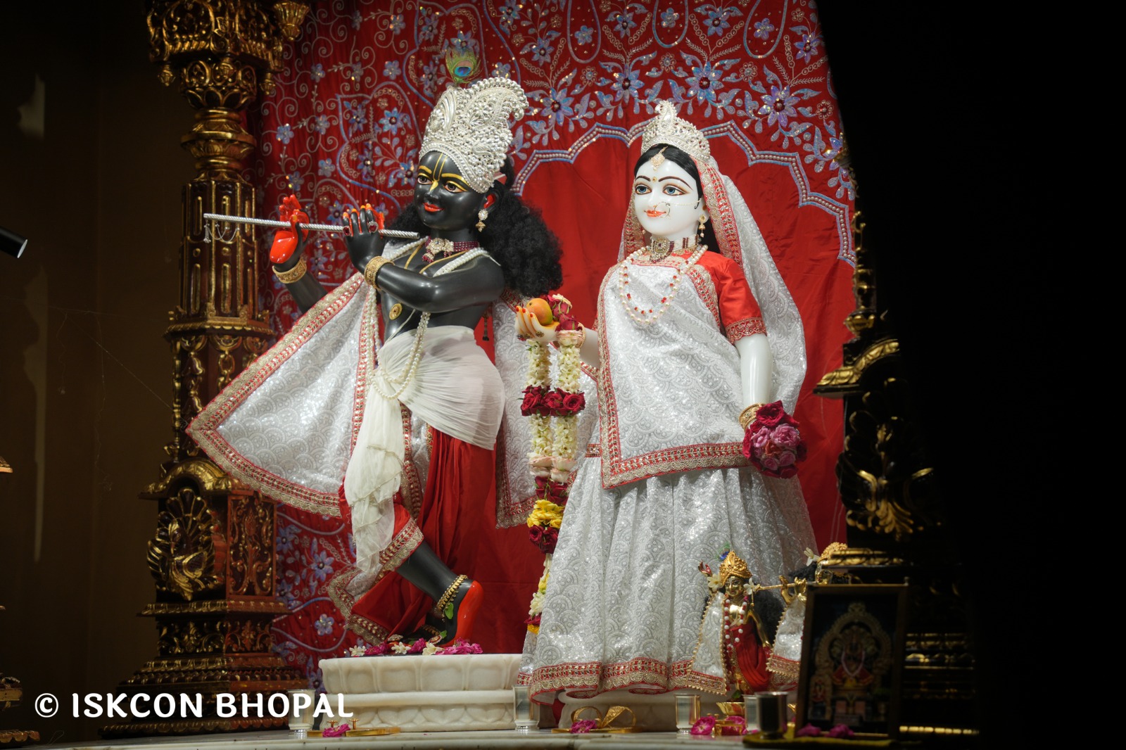 WhatsApp Image 2026-04-28 at 10.02.29