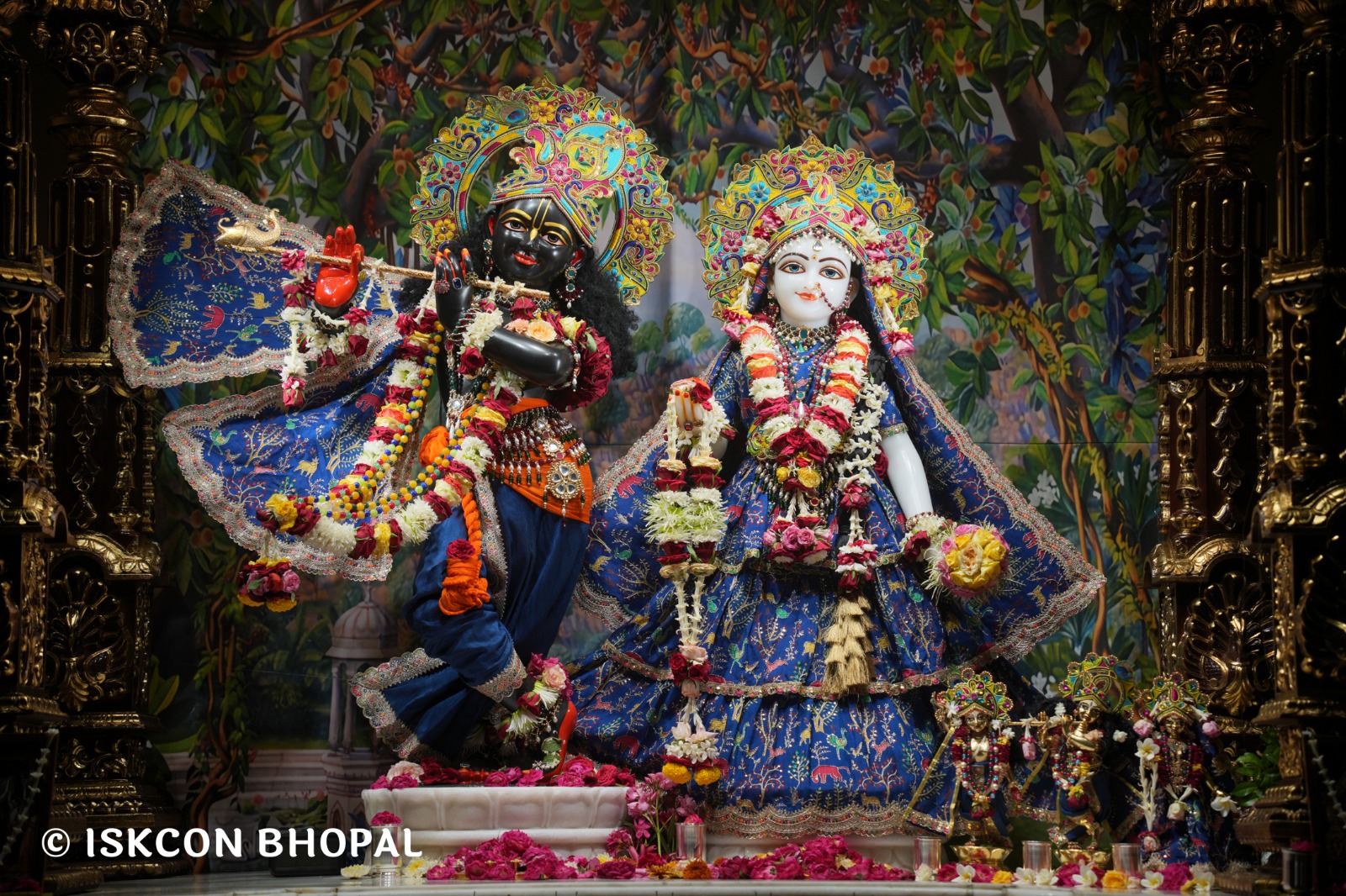 WhatsApp Image 2026-04-28 at 10.03.37