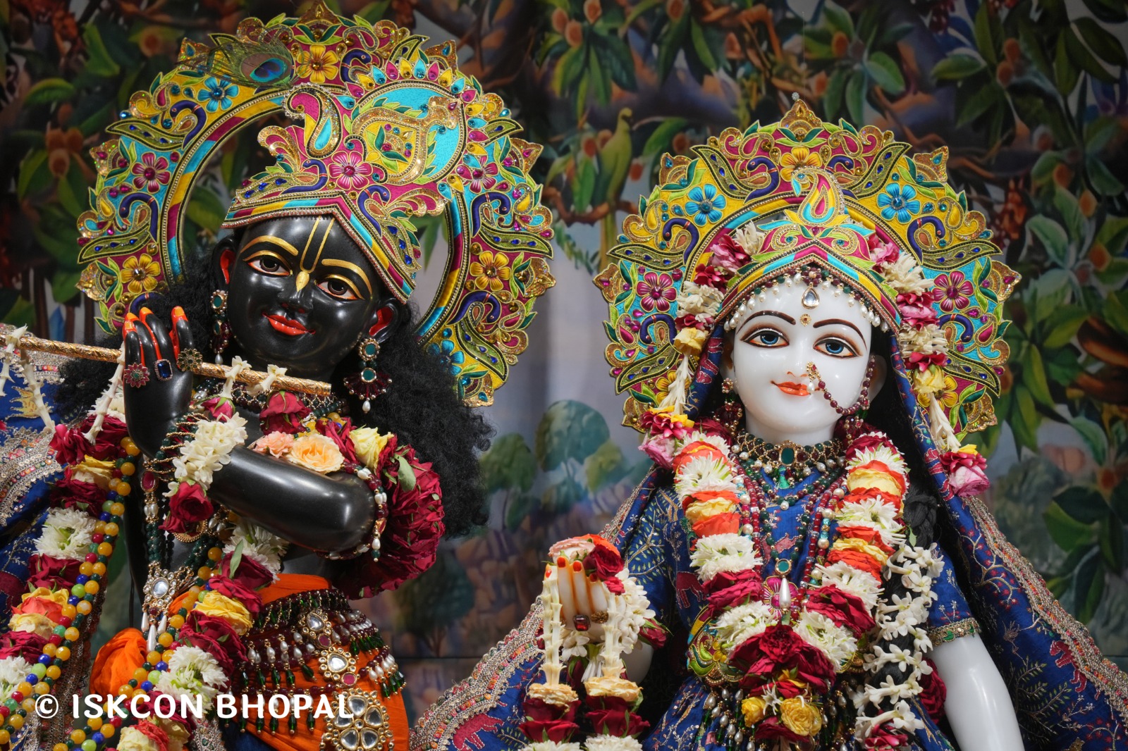 WhatsApp Image 2026-04-28 at 10.03.40