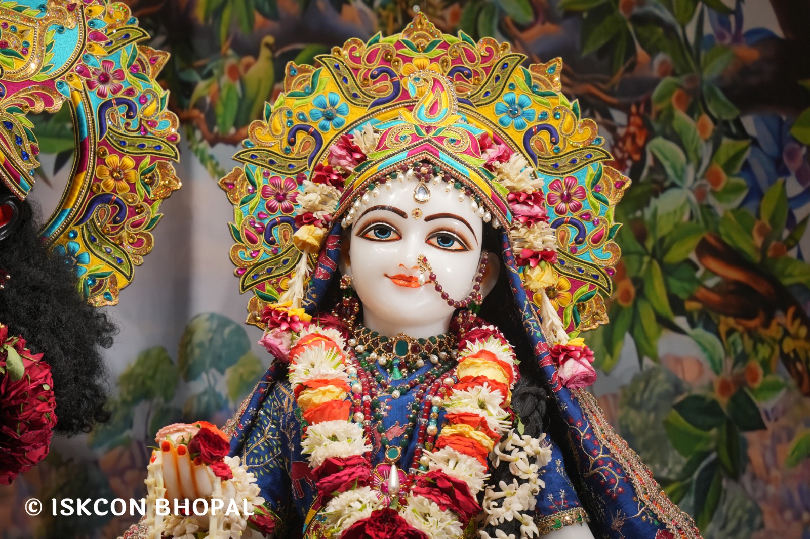 WhatsApp Image 2026-04-28 at 10.03.52