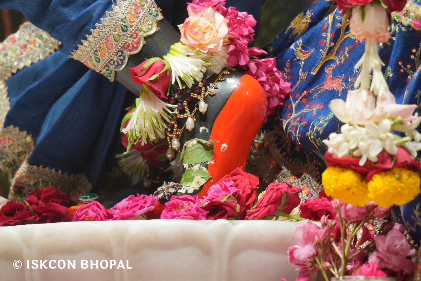 WhatsApp Image 2026-04-28 at 10.03.59