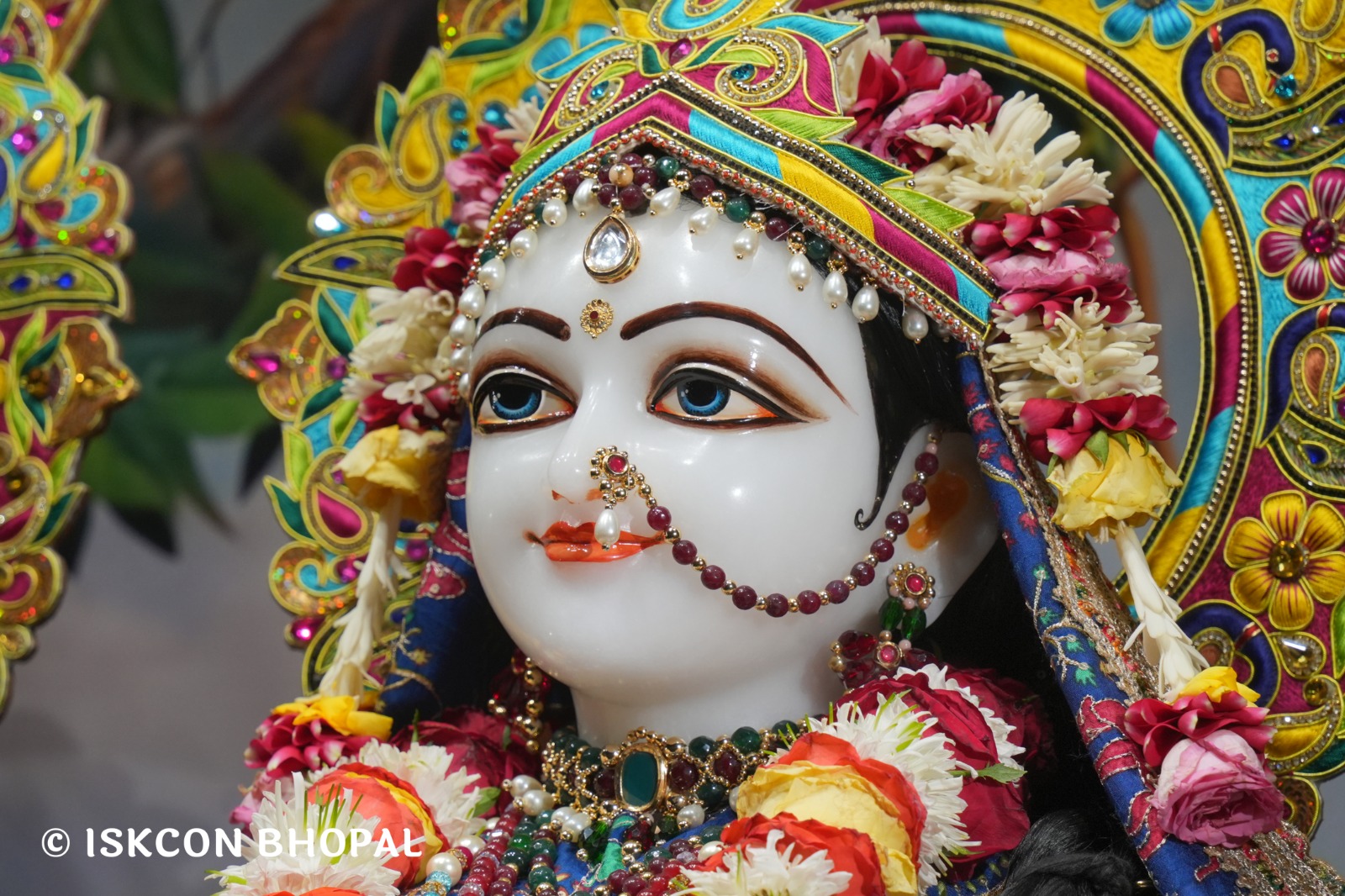 WhatsApp Image 2026-04-28 at 10.04.07