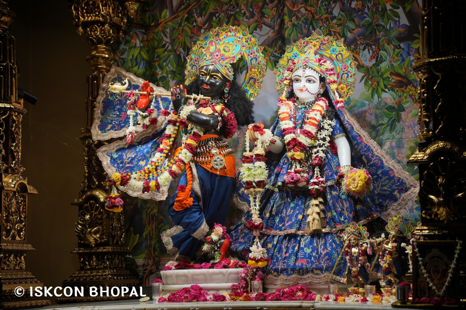 WhatsApp Image 2026-04-28 at 10.04.10