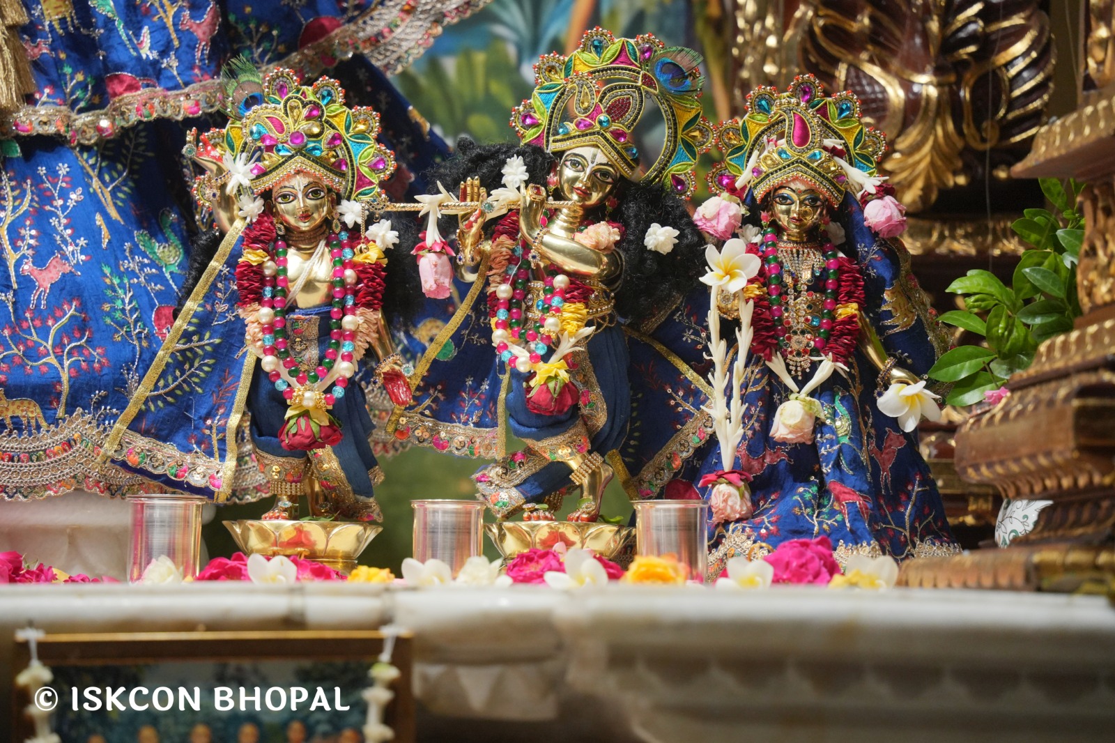 WhatsApp Image 2026-04-28 at 10.04.13