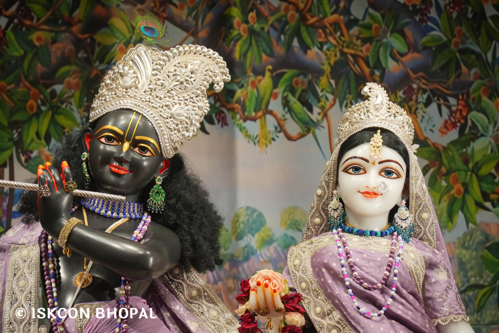 WhatsApp Image 2026-04-29 at 08.04.50