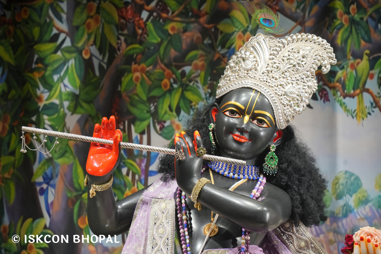 WhatsApp Image 2026-04-29 at 08.04.52