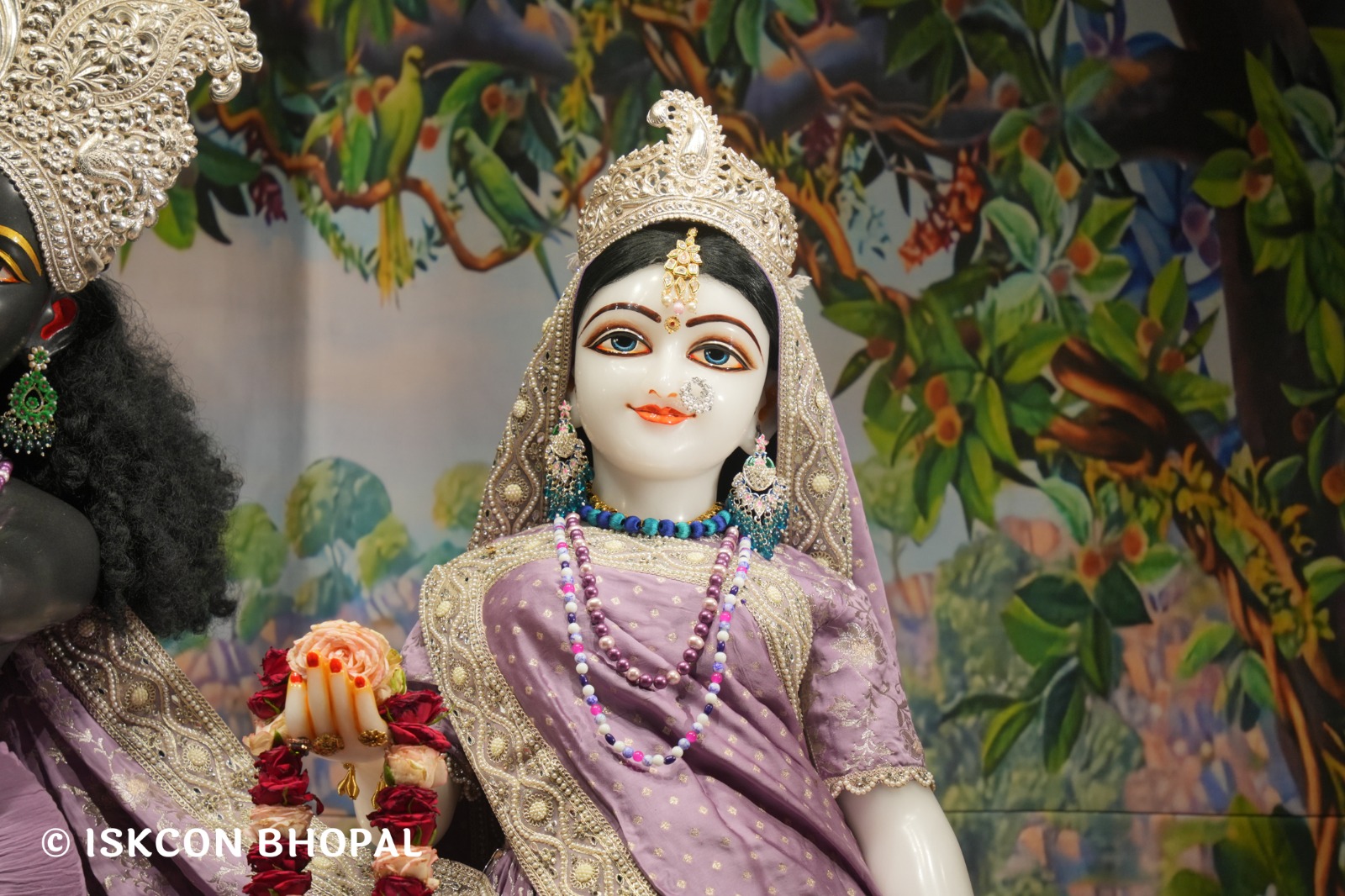 WhatsApp Image 2026-04-29 at 08.04.55