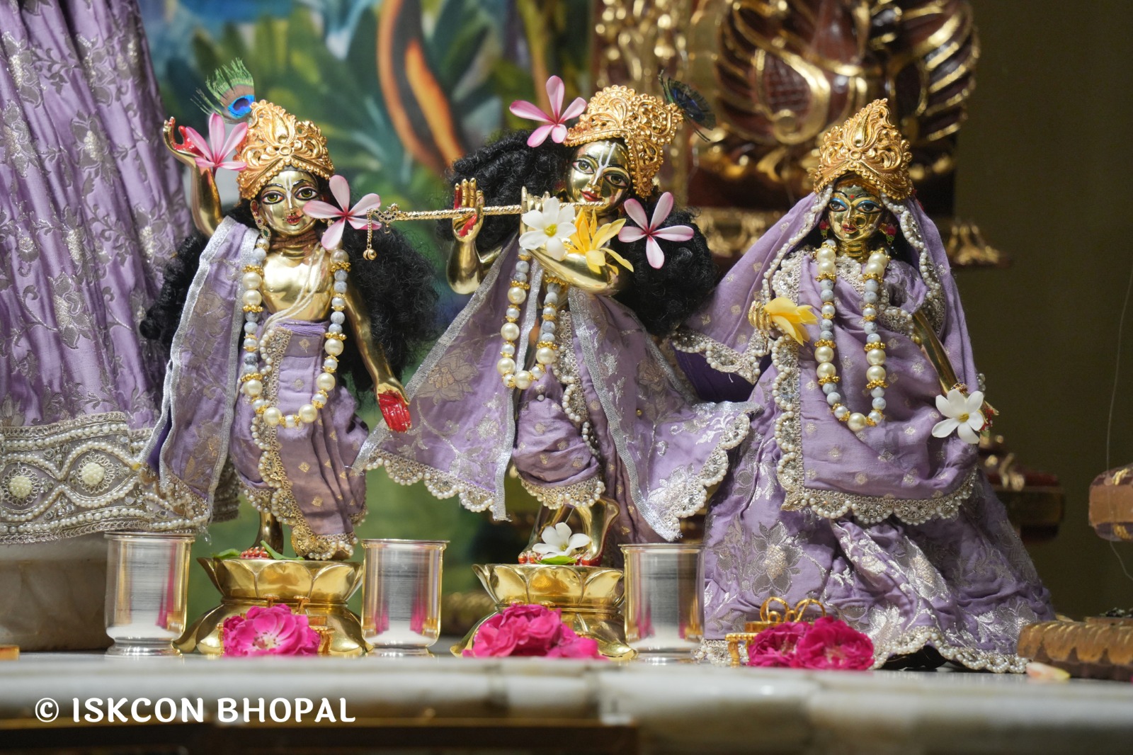 WhatsApp Image 2026-04-29 at 08.04.57