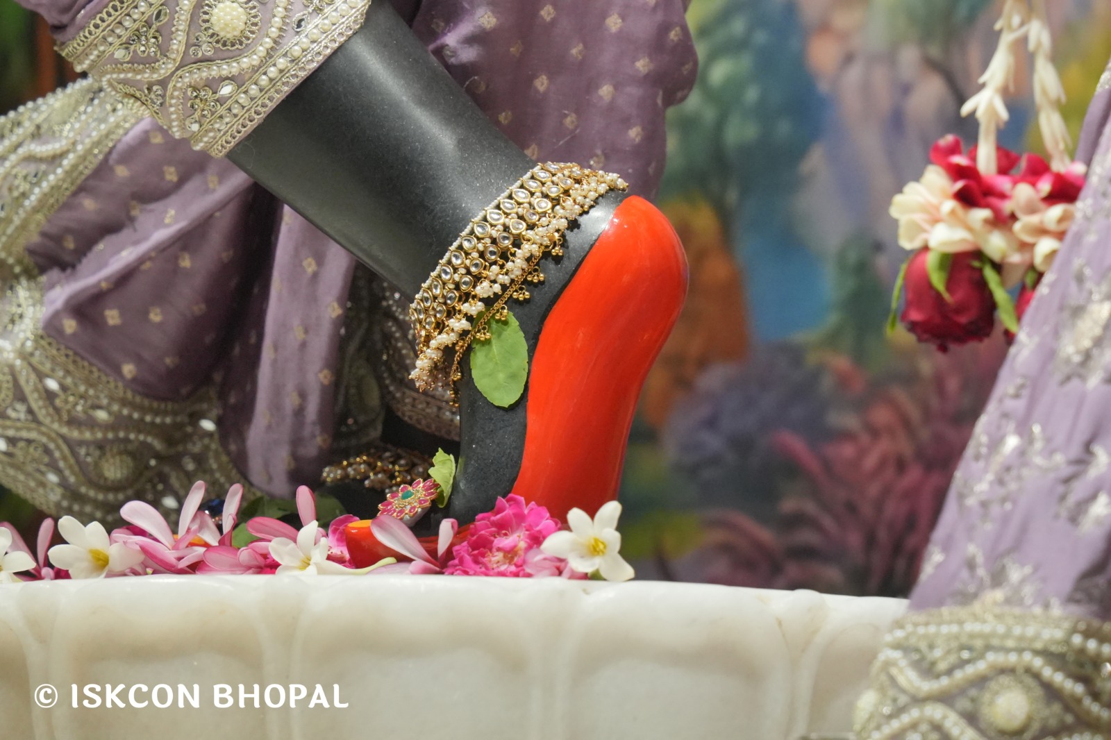 WhatsApp Image 2026-04-29 at 08.05.01 (1)