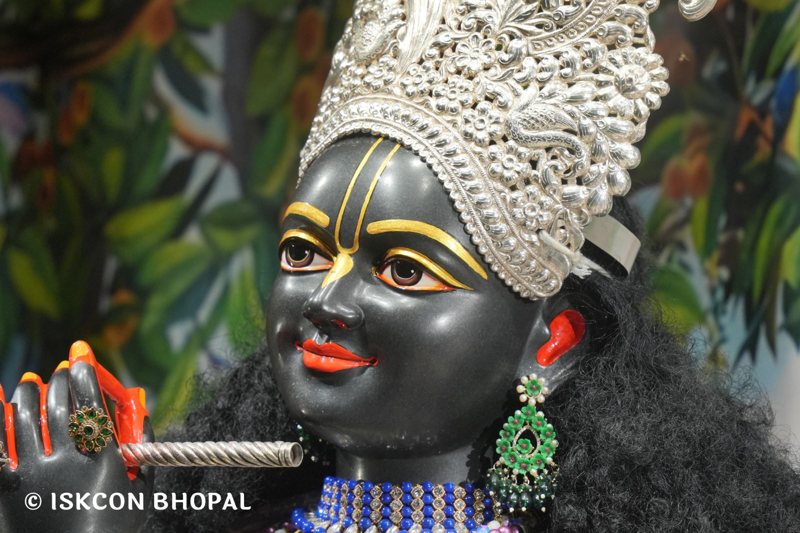 WhatsApp Image 2026-04-29 at 08.05.03