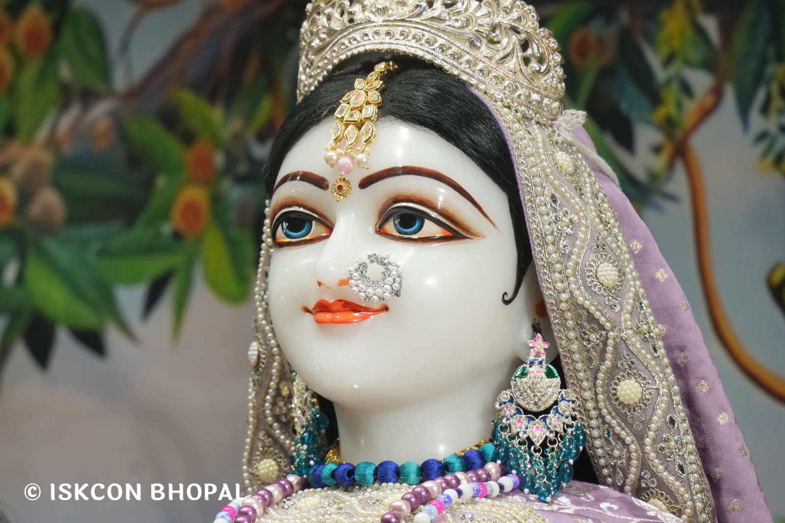 WhatsApp Image 2026-04-29 at 08.05.08